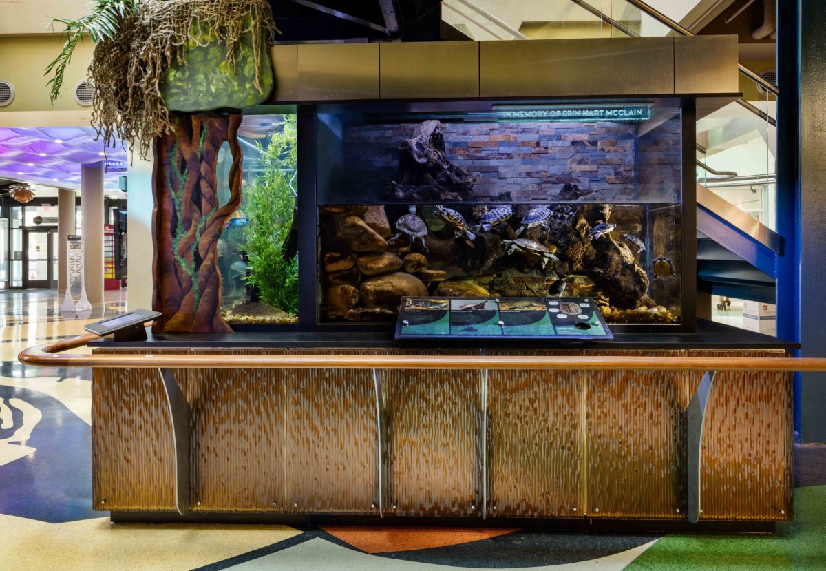 Center In The Square REEF AQUARIA DESIGNREEF AQUARIA DESIGN Every