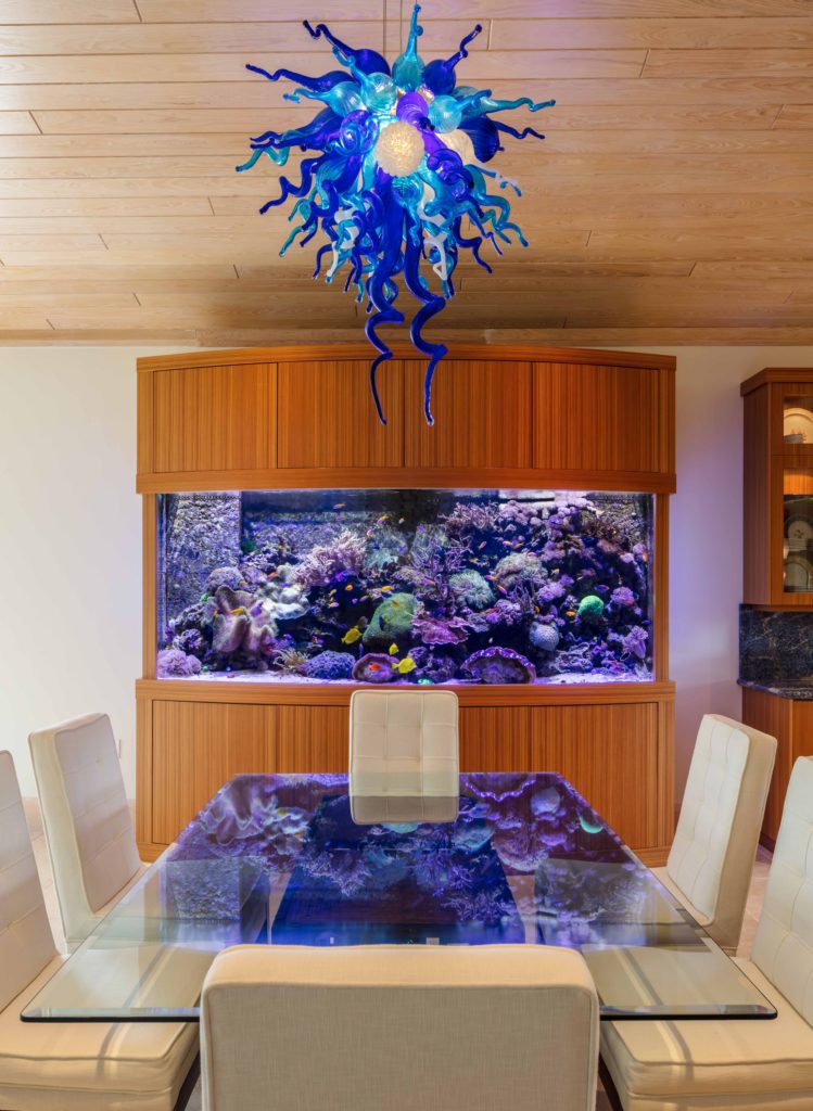 800 Gallon Living Coral Reef REEF AQUARIA DESIGNREEF