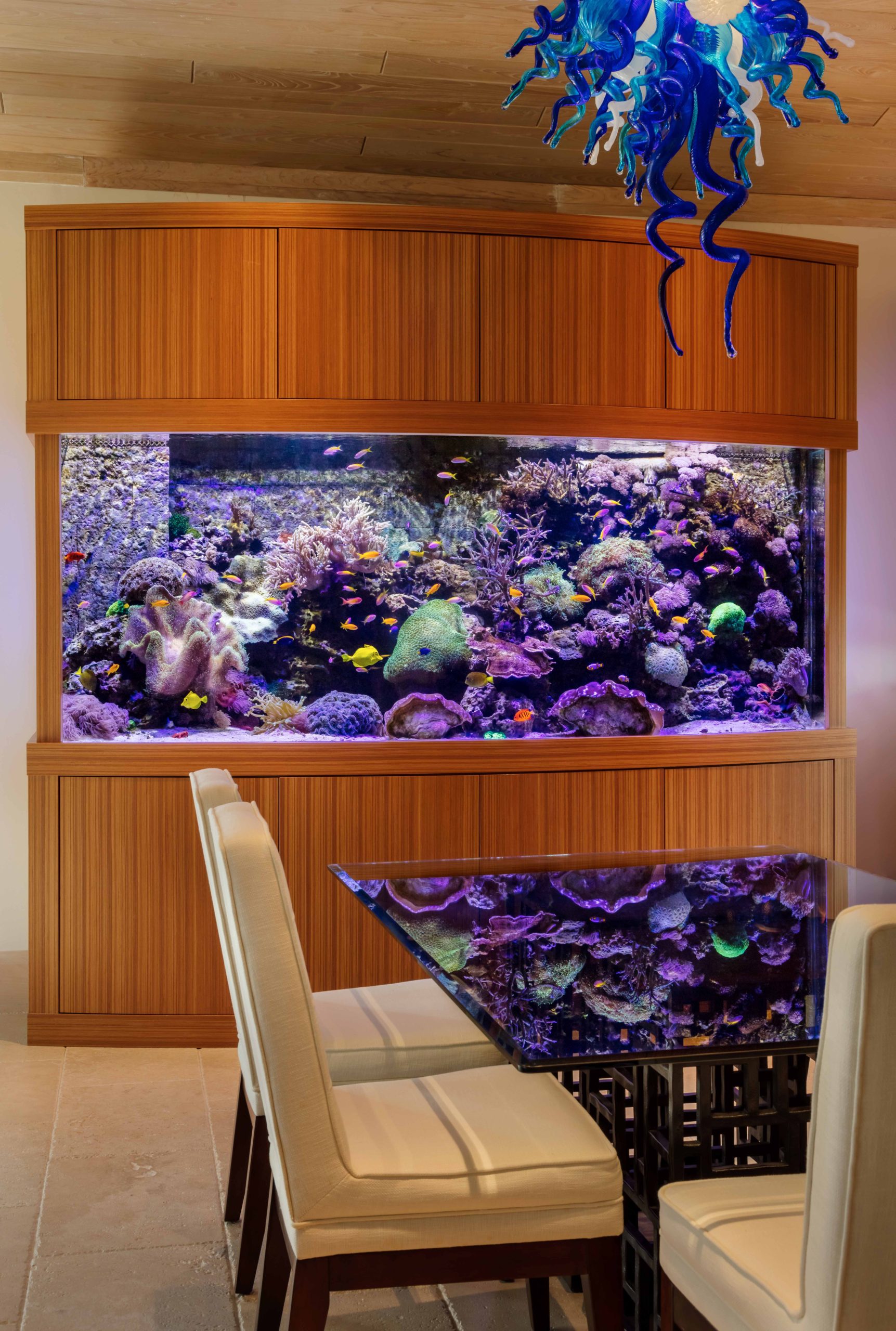 800 Gallon Living Coral Reef REEF AQUARIA DESIGNREEF