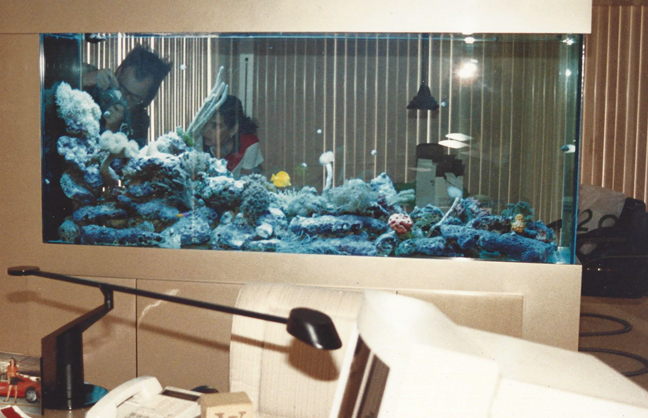 1970s_04 - REEF AQUARIA DESIGNREEF AQUARIA DESIGN | Every great room ...